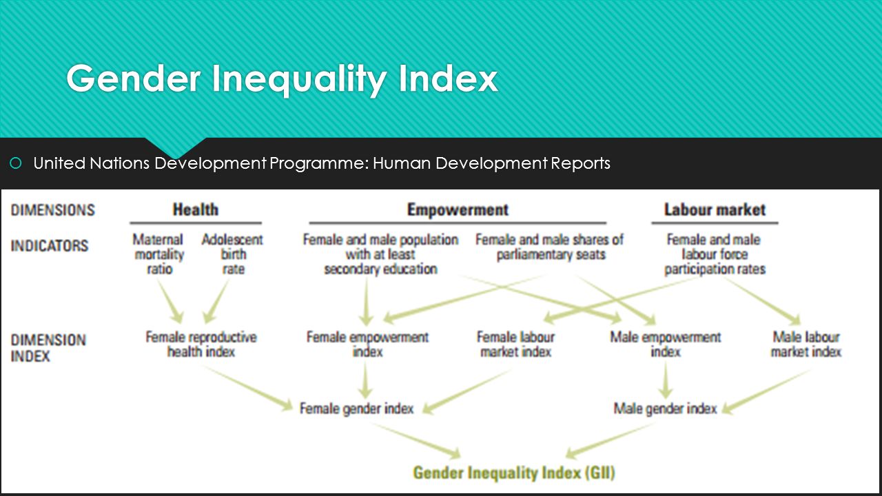 Seminar: What Causes Gender Inequality?